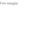 Nummer 49902