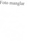 Nummer 49980