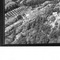 Nummer 50008