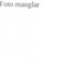Nummer 50031