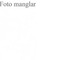 Nummer 50089