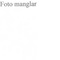 Nummer 50124