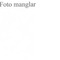 Nummer 50220