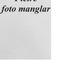 Nummer 5039