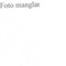 Nummer 50402