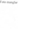 Nummer 50801