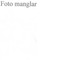 Nummer 50804