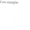 Nummer 50823