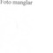 Nummer 51055