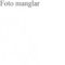 Nummer 51177