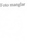Nummer 51623
