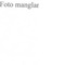 Nummer 51809