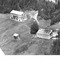 Nummer 51950