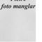 Nummer 5391