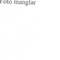 Nummer 7387