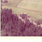 Nummer c1031