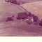 Nummer c1093