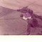 Nummer c1103