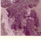 Nummer c1124