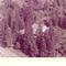 Nummer c1126