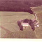 Nummer c113