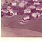 Nummer c1143