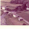 Nummer c1195
