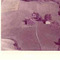 Nummer c1226