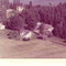 Nummer c1232