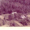Nummer c1236