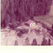 Nummer c1237