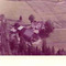 Nummer c1240