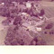 Nummer c1247