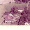 Nummer c1257