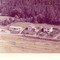 Nummer c1262
