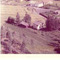 Nummer c1263