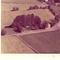 Nummer c1369