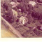 Nummer c1388