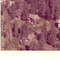 Nummer c1428