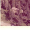 Nummer c1431