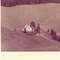 Nummer c1481