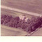 Nummer c1559