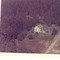 Nummer c1856