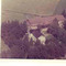 Nummer c1877