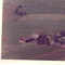 Nummer c1903