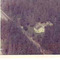 Nummer c1905
