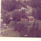 Nummer c1916
