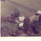 Nummer c1934