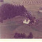 Nummer c1945