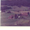 Nummer c1994